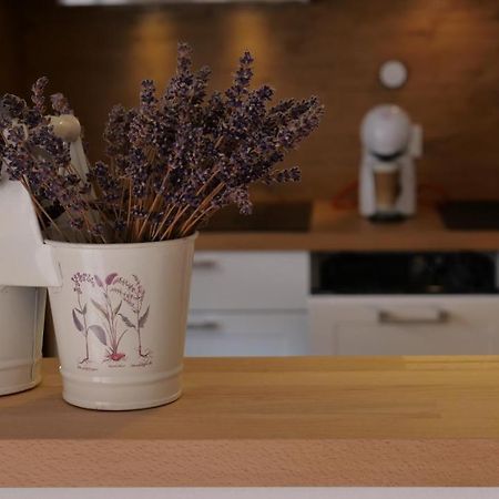 Ferienwohnung Gottleubapark Apartment Pirna Zewnętrze zdjęcie
