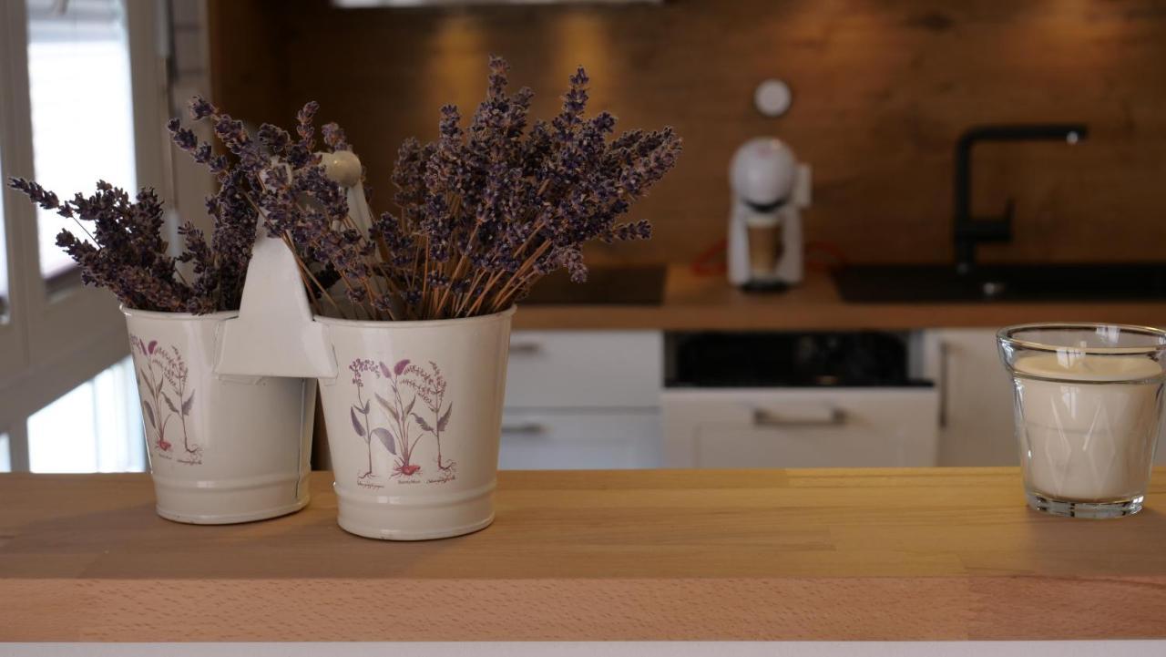 Ferienwohnung Gottleubapark Apartment Pirna Zewnętrze zdjęcie